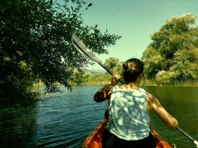 Skadar Lake National Park: Eco-friendly Kayak Adventure - The kayaking part: channels, lily fields, and birds overhead