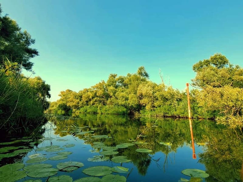 Skadar Lake National Park: Eco-friendly Kayak Adventure - Equipment and safety: they set you up, but you still need to pay attention
