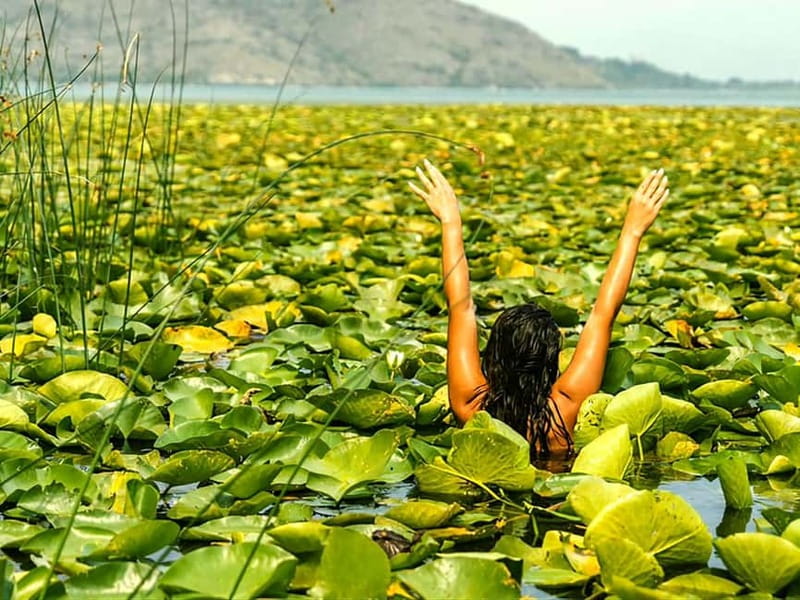 Skadar Lake National Park: Eco-friendly Kayak Adventure - Price and value: $14 for an hour in a protected park