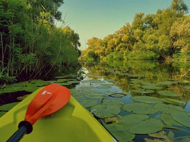 Skadar Lake National Park: Eco-friendly Kayak Adventure - Practical timing: make the hour work for you
