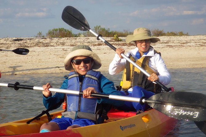 Small Group Boat, Kayak and Walking Guided Eco Tour Everglades - Key points before you go