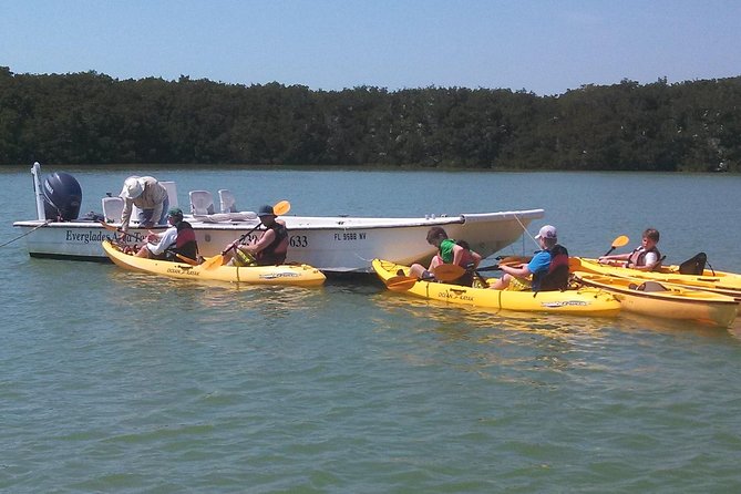 Small Group Boat, Kayak and Walking Guided Eco Tour Everglades - How the boat, kayak, and beach walk actually work together