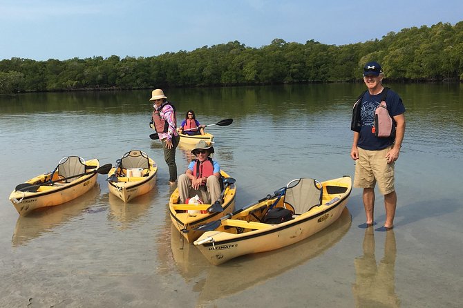 Small Group Boat, Kayak and Walking Guided Eco Tour Everglades - The beach walk: wrack lines, dunes, mangroves, and tiny life