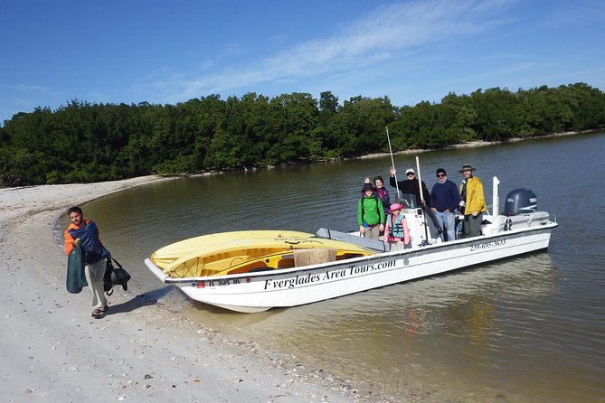 Small Group Boat, Kayak and Walking Guided Eco Tour Everglades - Morning or afternoon: how conditions can change what you do