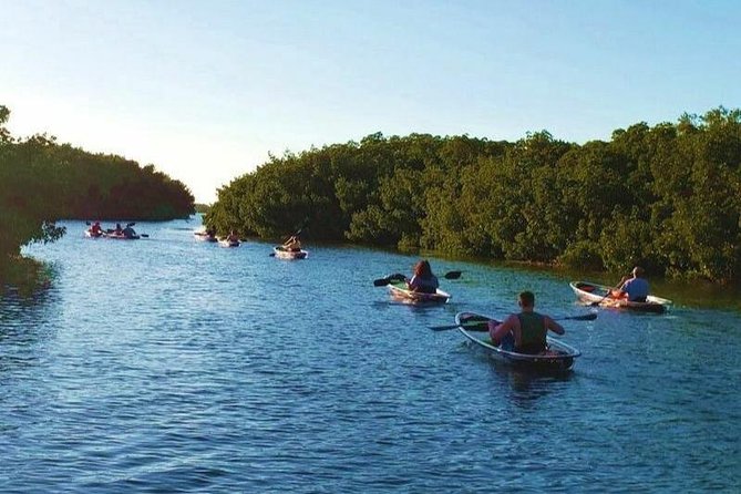 Small-Group Clear Kayak Tour in Shell Key - Key Highlights You’ll Actually Care About