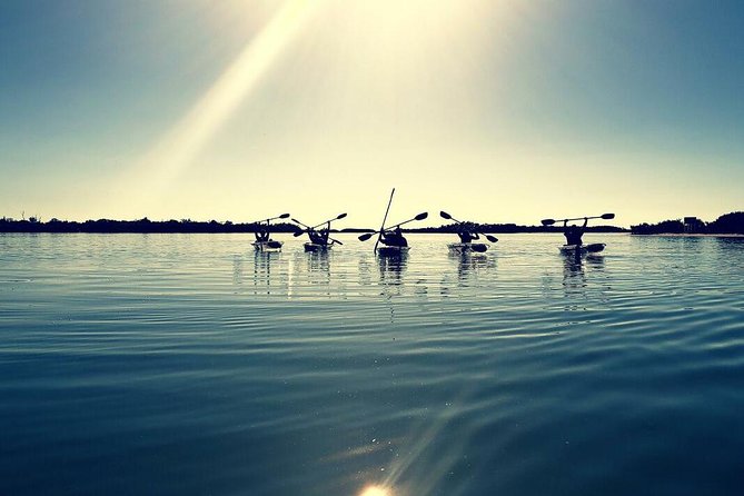 Small-Group Clear Kayak Tour in Shell Key - Shell Key and Fort DeSoto From a Glass-Bottom View