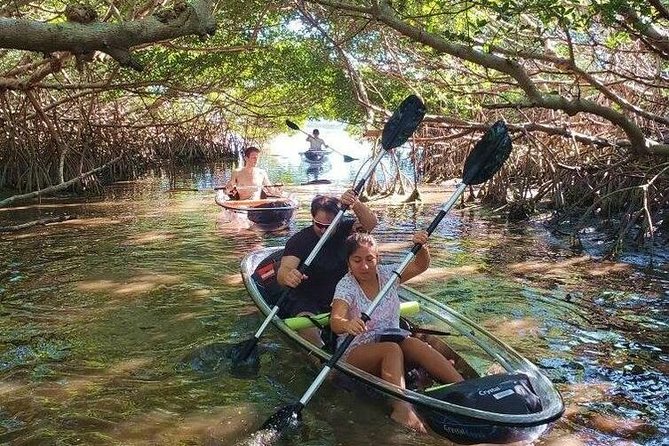 Small-Group Clear Kayak Tour in Shell Key - Meeting at Tierra Verde Marina and What to Bring
