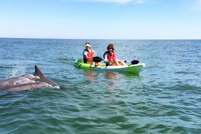 Small Group Dolphin Kayak Eco-Tour - Quick Highlights: What Makes This Dolphin Kayak Tour Worth It