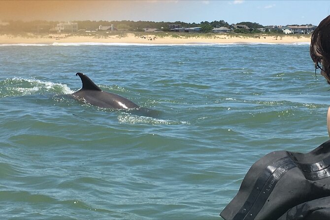 Small Group Dolphin Kayak Eco-Tour - Guides Make or Break the Day (and This One Gets Big Credit)