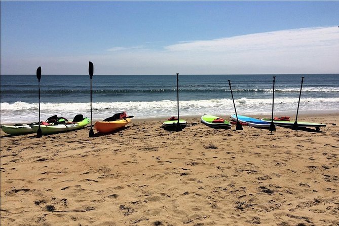 Small Group Dolphin Kayak Eco-Tour - Heading Toward Cape Henry Lighthouses for Dolphin Habitat