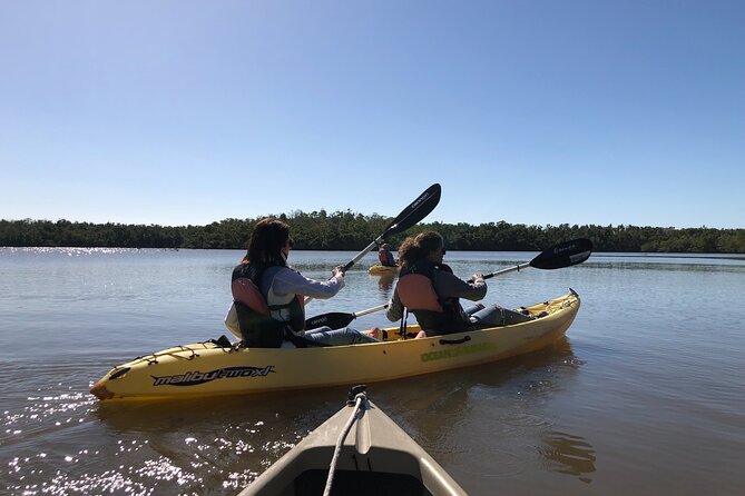 Small-Group Everglades Boating Kayaking and Walking Eco Tour - Barrier Island Walk: The Small Land Stop That Changes Everything