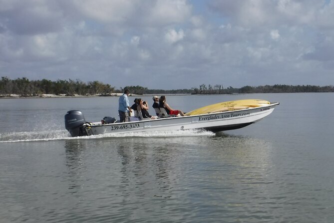 Small-Group Everglades Boating Kayaking and Walking Eco Tour - Wildlife You Can Hope To See (And Why It’s Not Guaranteed)