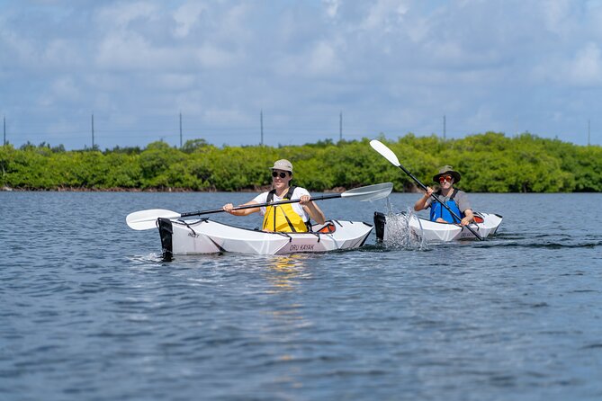 Small Group Glass Bottom Kayak Adventure- Cayman Islands - Key Highlights You’ll Feel Right Away