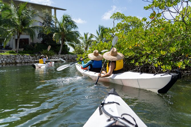Small Group Glass Bottom Kayak Adventure- Cayman Islands - First, Know What This Is: Glass-Bottom Kayaking in Grand Cayman’s Mangroves