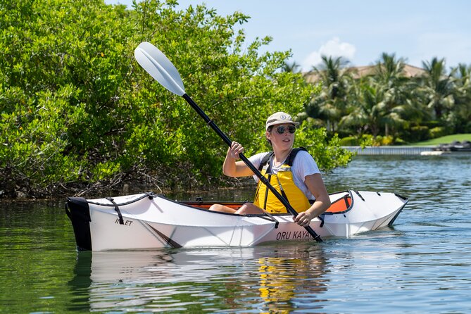 Small Group Glass Bottom Kayak Adventure- Cayman Islands - On the Water: What the Paddle Feels Like