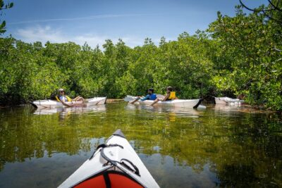 Small Group Glass Bottom Kayak Adventure- Cayman Islands - Where You Meet (and Why It Helps Your Schedule)