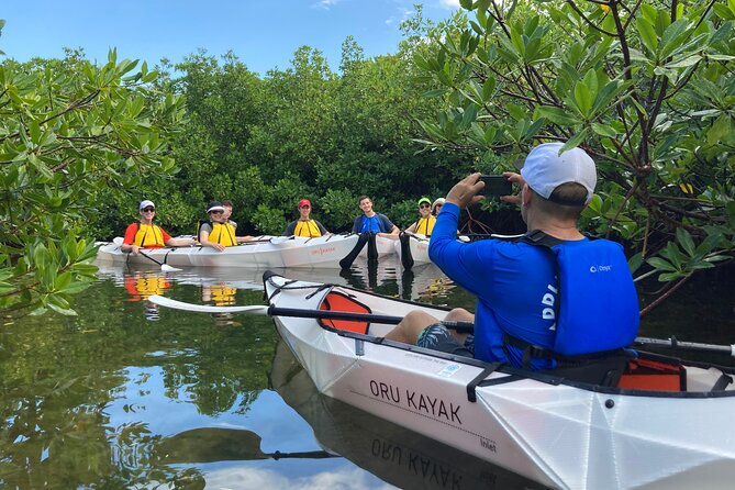 Small Group Glass Bottom Kayak Adventure- Cayman Islands - Red Mangrove Forests: The Main Show (and the Best Way to See It)