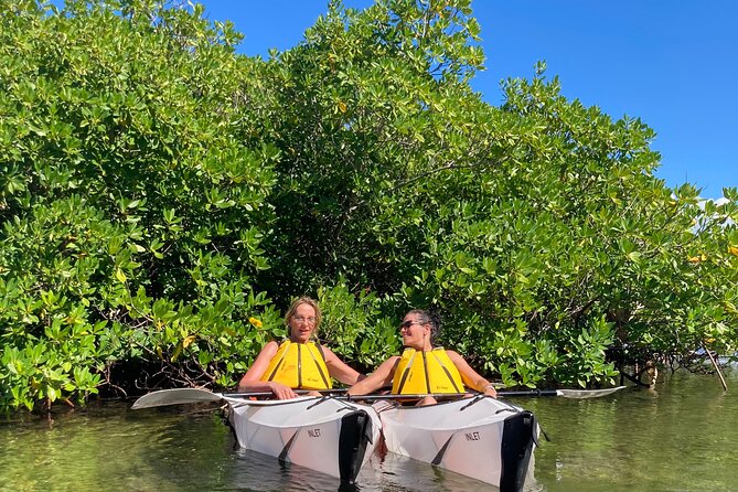 Small Group Glass Bottom Kayak Adventure- Cayman Islands - Guides Like Ryan and Paul: Why the Narration Makes It Worth It