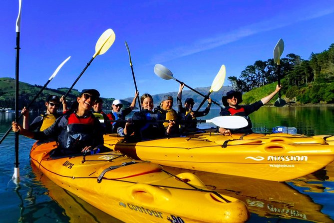 Small group guided sea kayaking in Akaroa marine reserve - Key highlights worth knowing