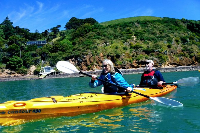 Small group guided sea kayaking in Akaroa marine reserve - Kayaking Akaroa’s extinct-volcano coastline (and why it feels special)