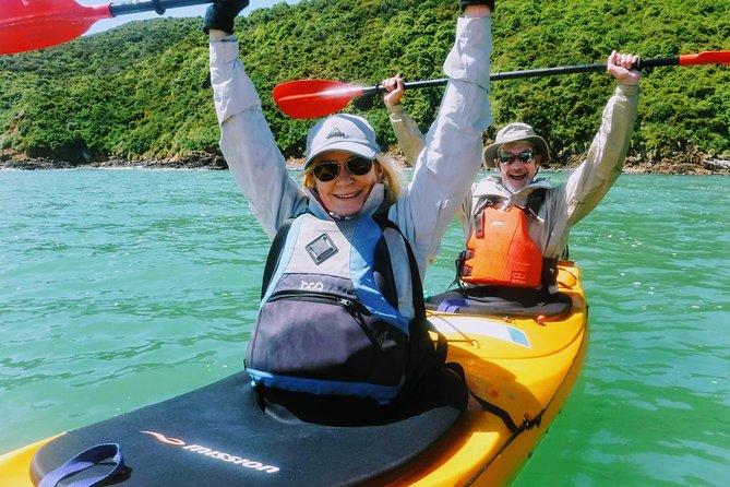 Small group guided sea kayaking in Akaroa marine reserve - Price and value: does $83.78 make sense for a 2–3 hour safari?