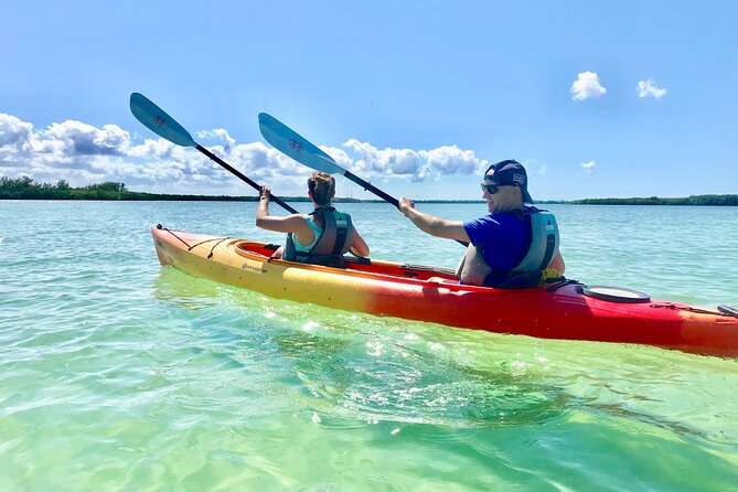 Small Group Kayak Tour of the Shell Key Preserve - Key highlights you’ll feel from start to finish