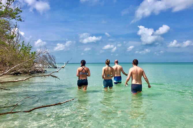 Small Group Kayak Tour of the Shell Key Preserve - Shell Key Preserve: where your paddle turns into nature time