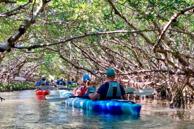 Small Group Kayak Tour of the Shell Key Preserve - The 3-hour route: from launch ramp to Shell Key beach