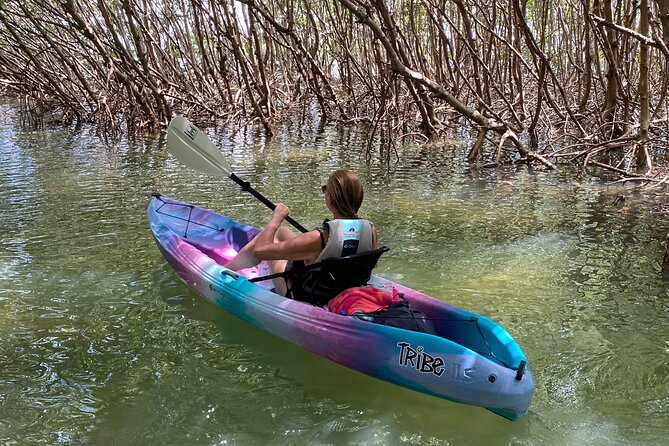 Small Group Kayak Tour of the Shell Key Preserve - Shell Key beach time: shells, sand, and a quick reset
