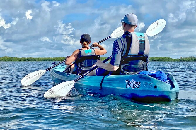 Small Group Kayak Tour of the Shell Key Preserve - Price and value: is $79 worth it?