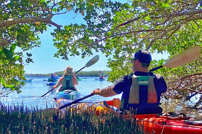 Small Group Kayak Tour of the Shell Key Preserve - Who should book this Shell Key kayak tour?