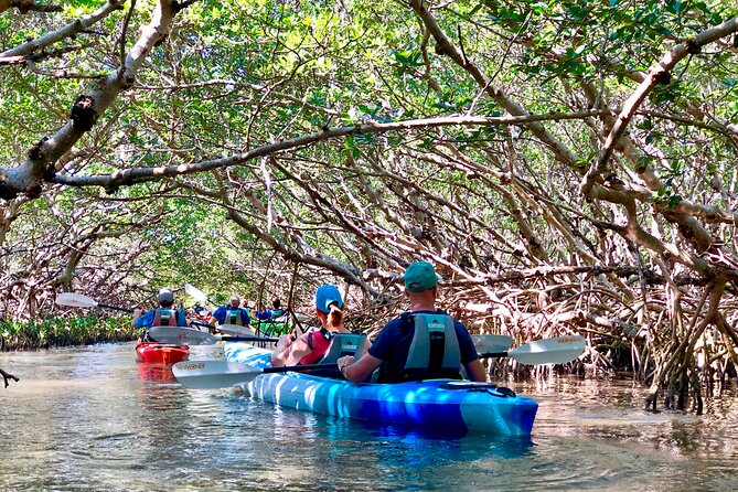 Small Group Kayak Tour of the Shell Key Preserve - The 3-hour route: from launch ramp to Shell Key beach