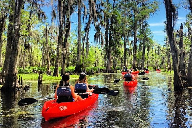 Small-Group Manchac Swamp Kayak Tour - Why Kayak the Manchac and Maurepas Swamps from New Orleans?