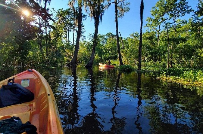 Small-Group Manchac Swamp Kayak Tour - What to Wear and Bring: a Practical Checklist That Saves Your Trip