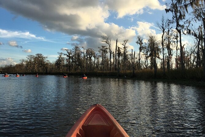 Small-Group Manchac Swamp Kayak Tour - Who Should Book This Manchac Swamp Kayak Tour?