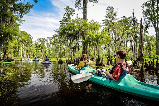 Small-Group Manchac Swamp Kayak Tour with Local Guide - Wild Louisiana Launch and getting there from the French Quarter area