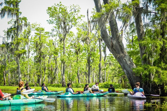 Small-Group Manchac Swamp Kayak Tour with Local Guide - How long it really takes: pacing, muscle burn, and return timing