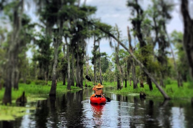 Small-Group Manchac Swamp Kayak Tour - Stop 1: Kayak Swamp Tours—Gear Up and Get on the Water