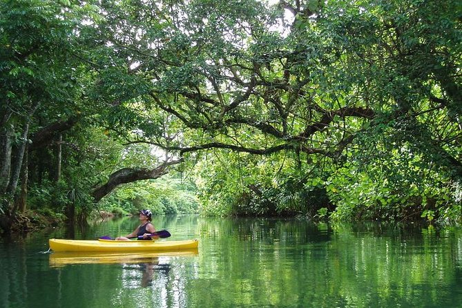 Small Group River Kayaking Tour from Port Vila - Quick hits if you only read one section