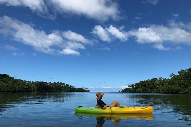 Small Group River Kayaking Tour from Port Vila - Pickup and meeting: easy when you’re on land, slightly chaotic at the wharf