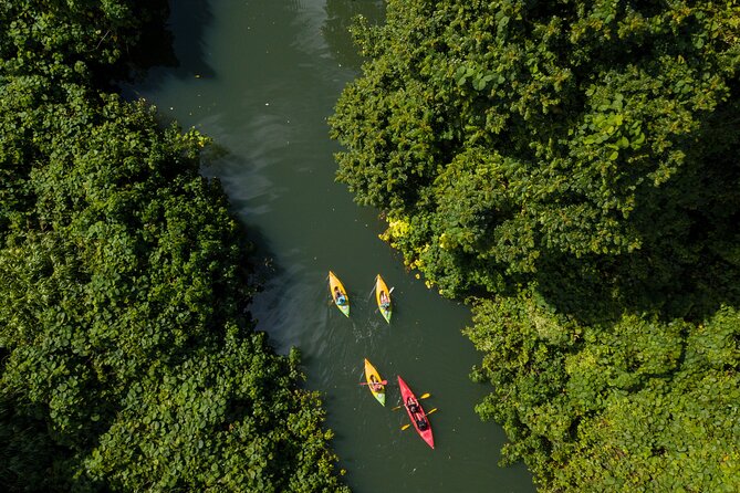 Small Group River Kayaking Tour from Port Vila - Beginner-friendly paddling, with one smart caution for singles