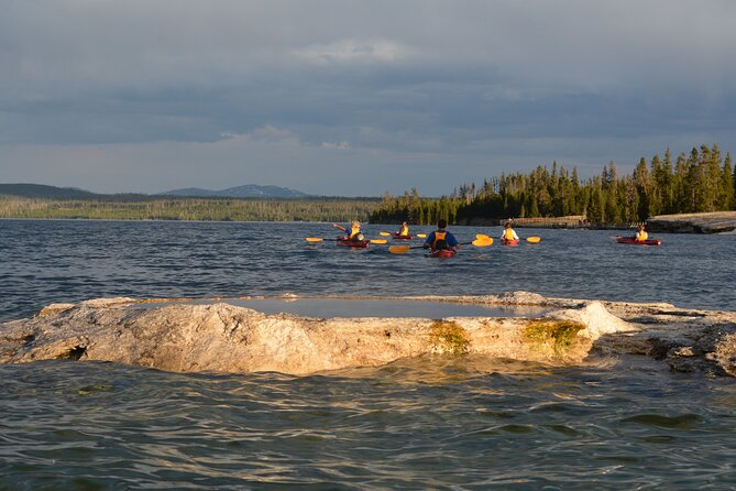 Small-Group Sunset Kayaking Tour on Lake Yellowstone - What the 4 hours feels like: effort, distance, and pace