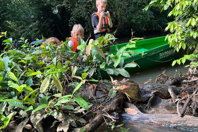 Small Group Tortuguero National Park Canoe Tour - Where this tour fits best (and who might prefer something else)