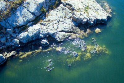 Snorkel, Kayak, and Seal Adventure: Vancouver Boat Tour - Heading out to Pam Rocks: the seal spotting phase