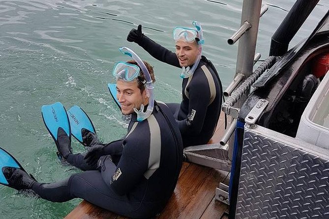 Snorkel, Kayak, and Seal Adventure: Vancouver Boat Tour - Kayaking near the seals: a different kind of thrill