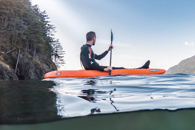 Snorkel, Kayak, and Seal Adventure: Vancouver Boat Tour - On-board food and the return cruise