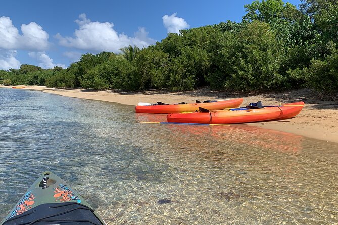 Snorkeling & Kayak Eco-Adventure in Puerto Rico - Where this Puerto Rico day happens: Las Cabezas de San Juan in Fajardo