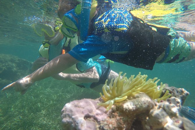 Snorkeling & Kayak Eco-Adventure in Puerto Rico - Kayak across the reserve: what the “adventure” part feels like