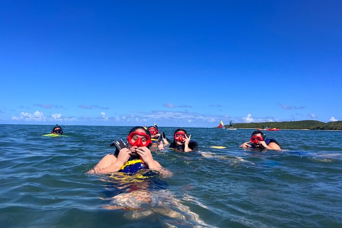 Snorkeling & Kayak Eco-Adventure in Puerto Rico - Why the guide talk is a big part of the value