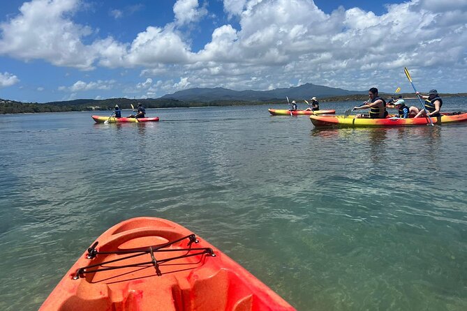 Snorkeling & Kayak Eco-Adventure in Puerto Rico - Price and value: is $69 a fair deal?